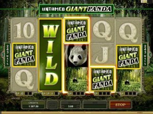 Casino La Vida :: Untamed - Giant Panda slot game :: Collect-A-Wild Feature
