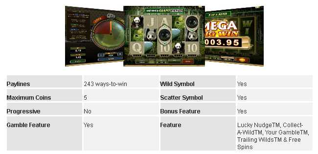 Casino La Vida :: Untamed - Giant Panda :: Basic Game Information