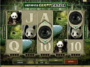 Roxy Palace Casino :: Untamed - Giant Panda video slot - PLAY NOW!