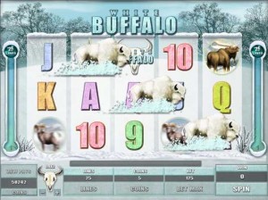 Red Flush Casino :: White Buffalo video slot - Free Spins