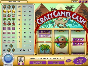 Desert Nights Casino :: Crazy Camel Cash slot - PLAY NOW!