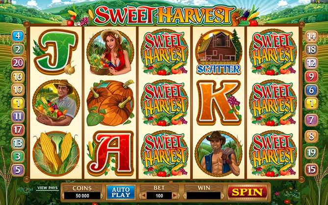 Casino LaVida :: Sweet Harvest video slot - PLAY NOW!