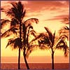 Hawaii Hotels